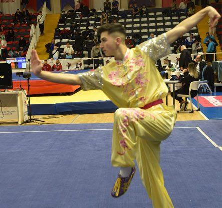 Wushu Kungfu